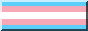 Trans flag